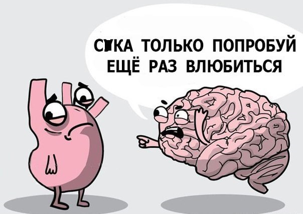 мозг и сердце